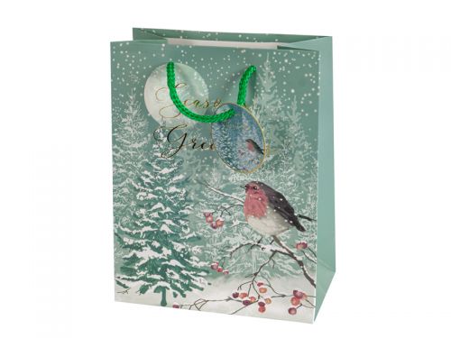 Подарочный пакет 18х23х10 см (бумага)