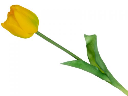 Тюльпан жетый 44 см (шелк искусственный)