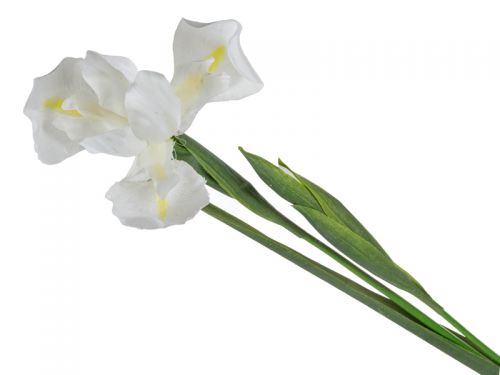 Ирис белый 76 см (пластик)