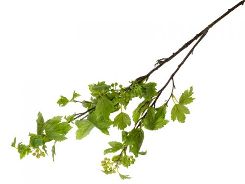 Ветка калины 100 см