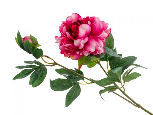 Пион красный 68 см