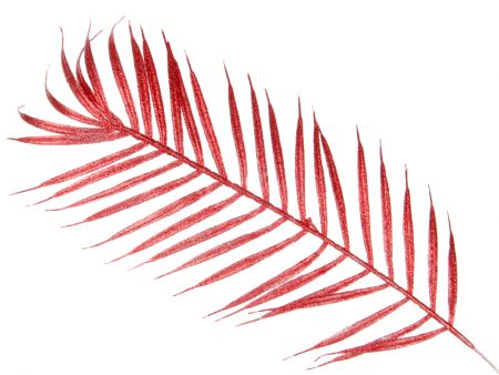 Веточка декоративная 65см в ассортименте