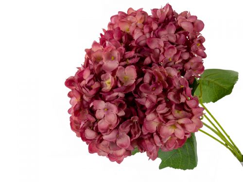 Букет гортензии 5 голов 50см