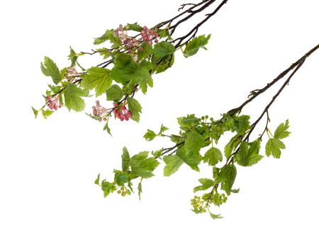 Ветка калины 100 см