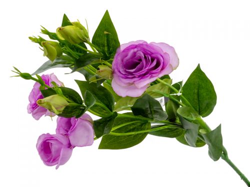 Эустома лиловая 77 см