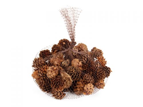 Набор декоративных шишек 100 грамм (натуральные материалы)