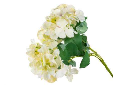 Букет гортензии 5 голов