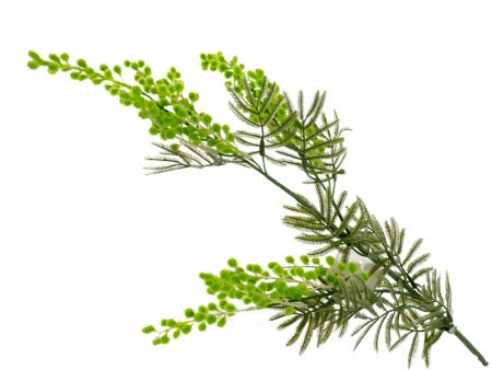 Ветка мимозы зеленая 80 см (платсик с напылением)