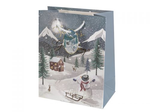 Подарочный пакет 18х23х10 см (бумага)