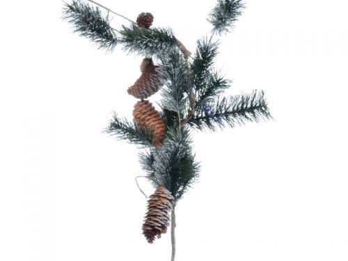 Ветка хвойная заснеженная с шишками