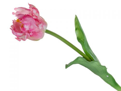 Тюльпан бело-розовый  47 см (шелк искусственный)