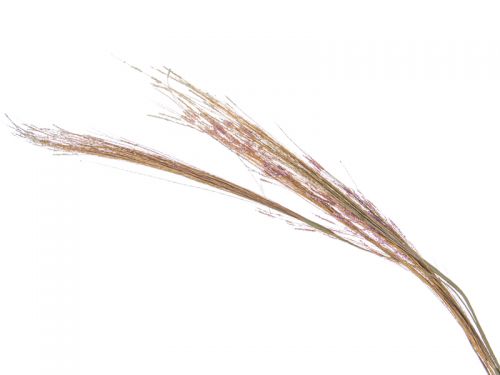 Растение искусств. 81см