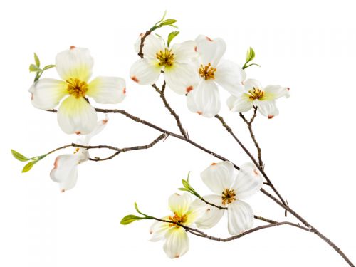 Ветка Дерен белая 66 см