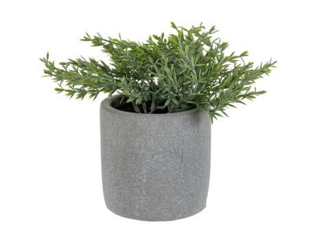 Искусственное растение Тимьян зеленый 19х10х10 см   (шелк искусственный/ пластик/ цемент)
