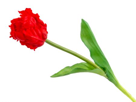 Тюльпан красный 40 см