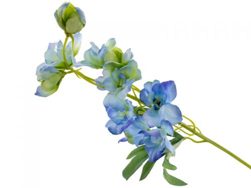 Дельфииниум голубой 50 см