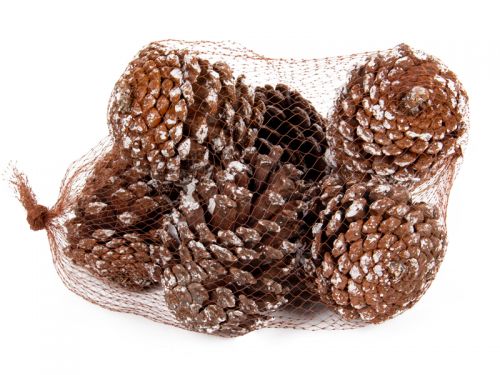 Набор декоративных шишек 6 шт (натуральные материалы)